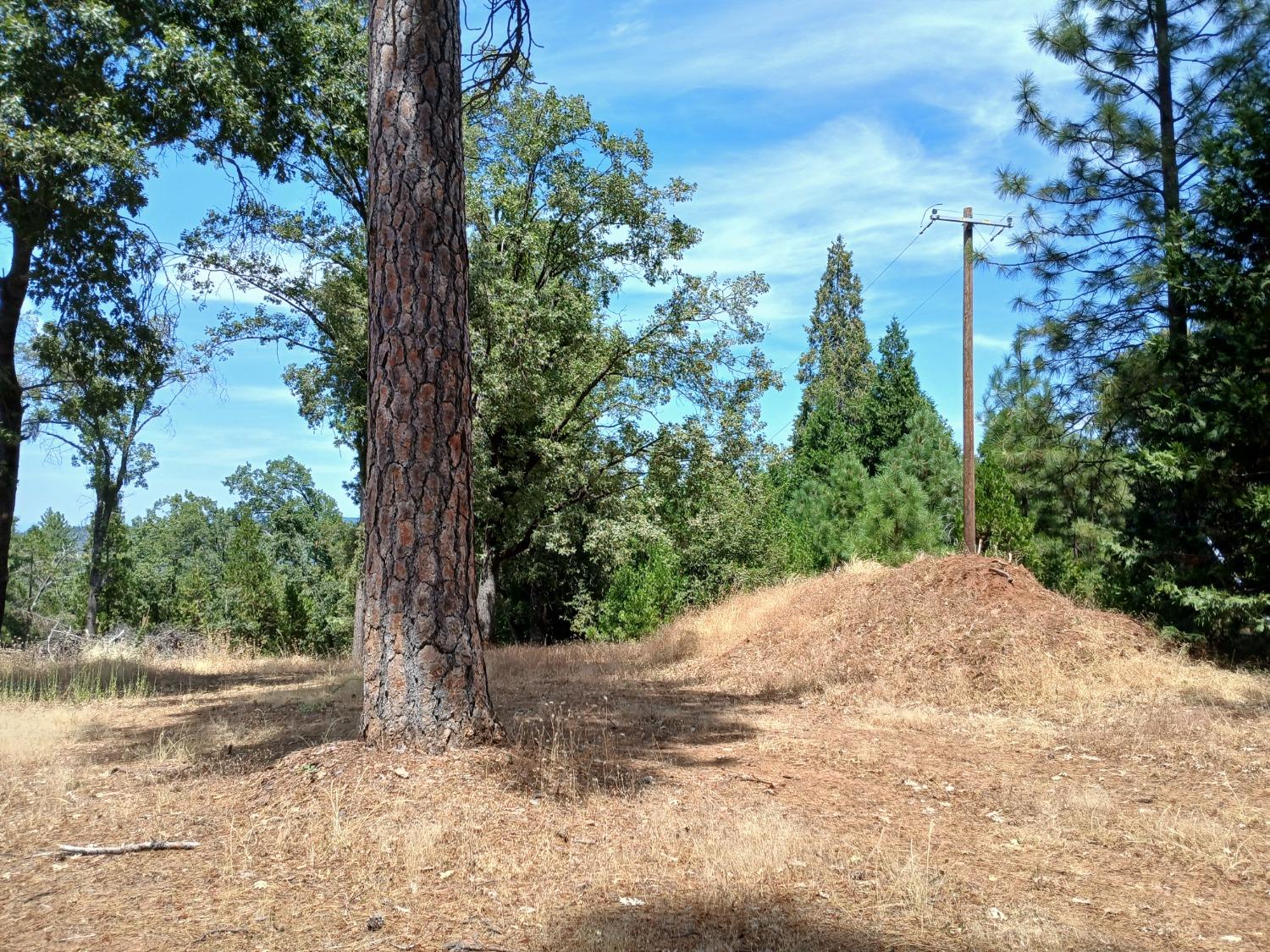 Shake Ridge Road, Volcano, California image 7