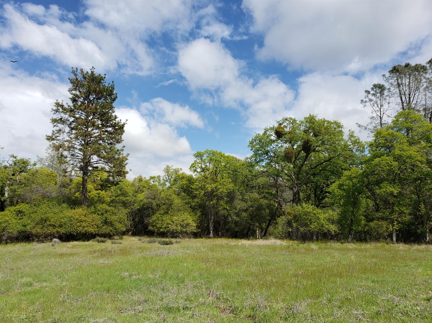 Eagle Nest Way, Oregon House, California image 33