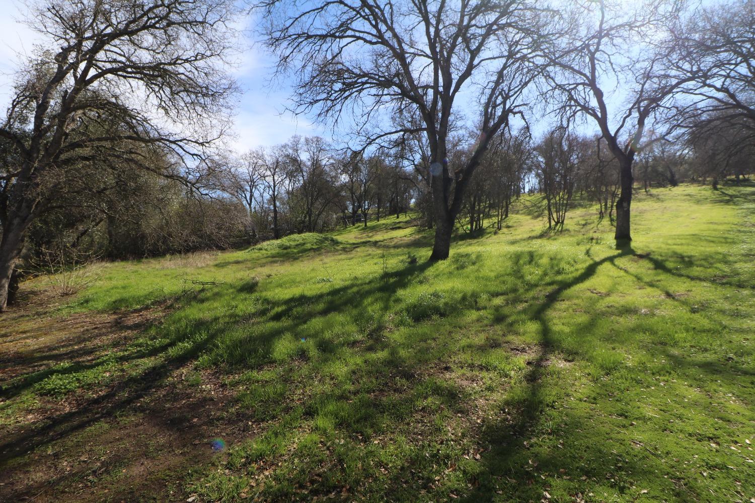 Baldwin Court, Valley Springs, California image 4