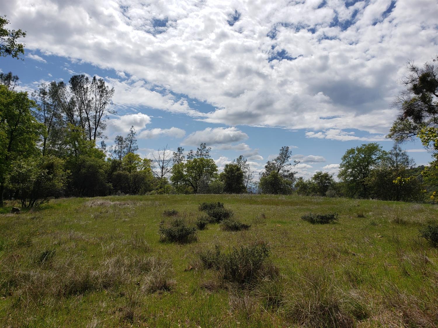 Eagle Nest Way, Oregon House, California image 39