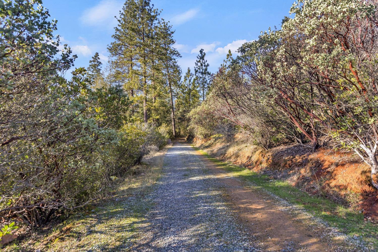 Loka Lane, Greenwood, California image 3