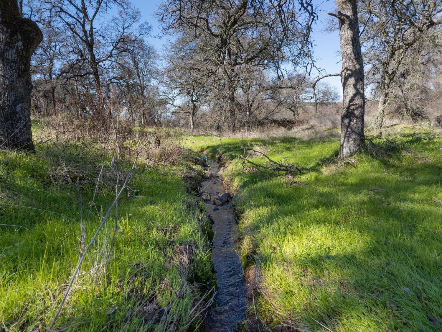 Oak Grove Court, Browns Valley, California image 10