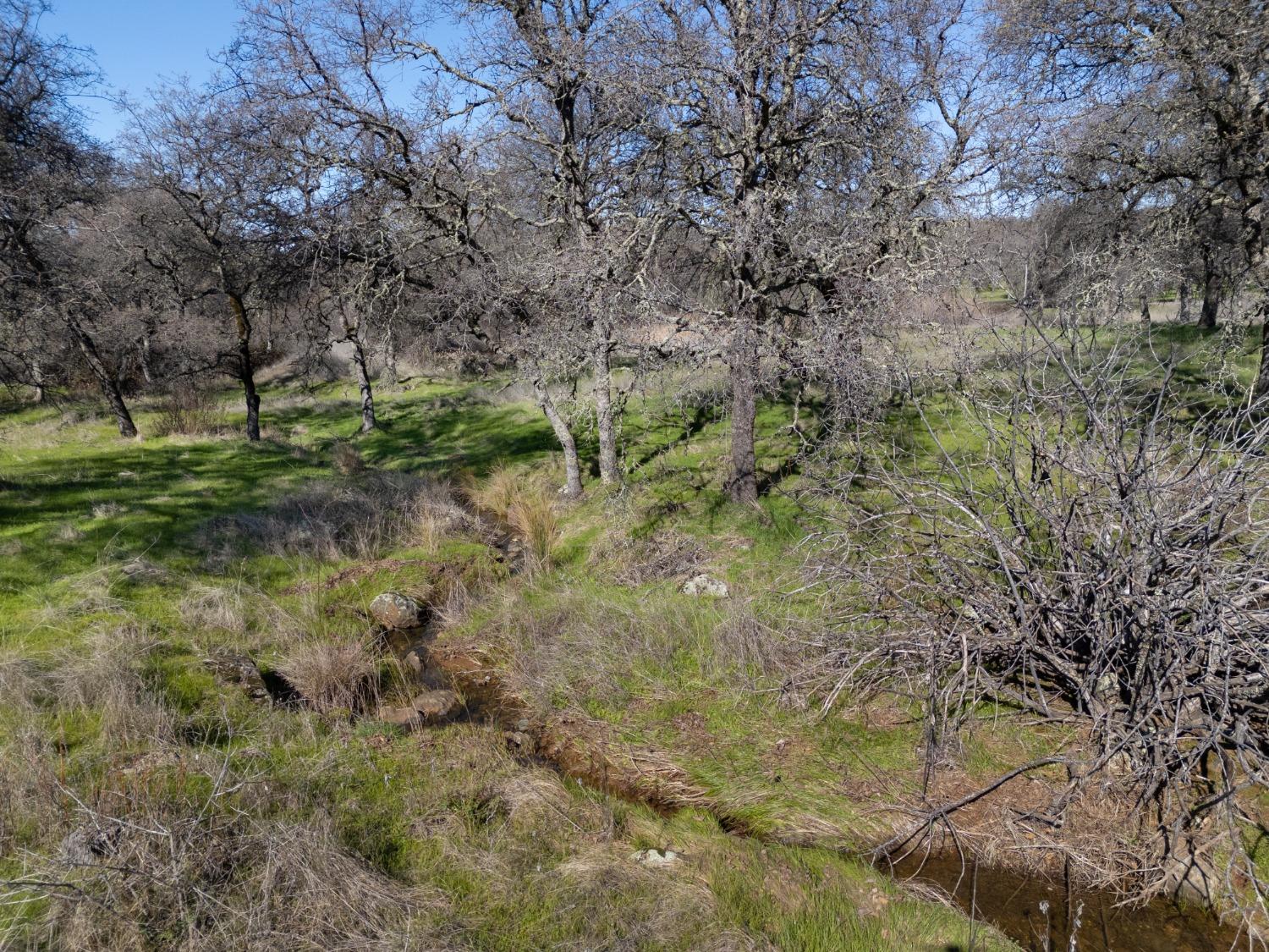 Oak Grove Court, Browns Valley, California image 6