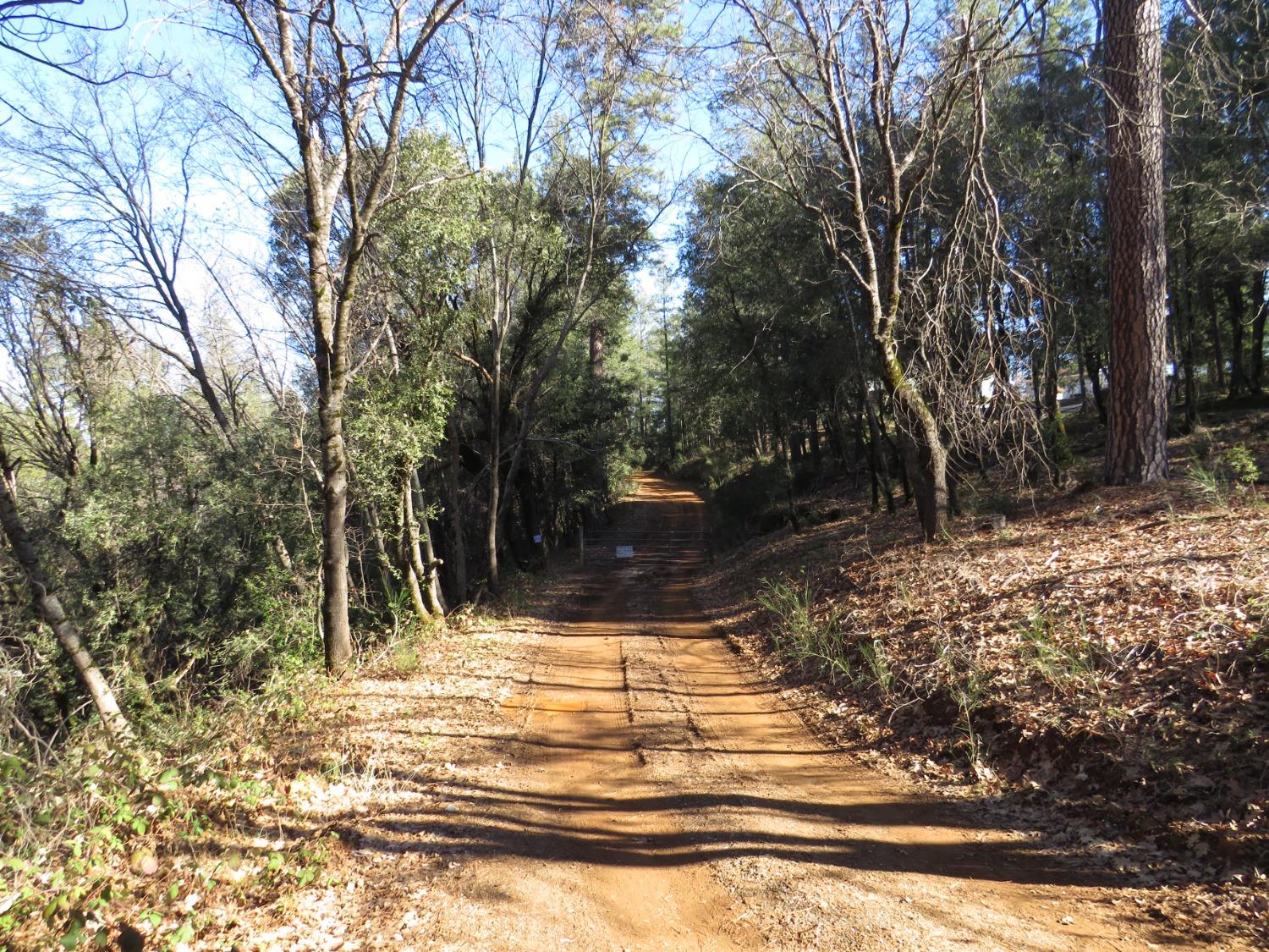 N. Canyon Way / Iowa Hill Rd, Colfax, California image 9