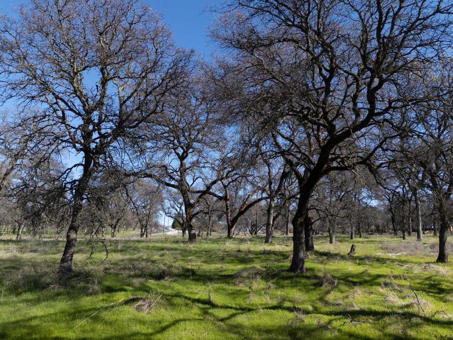 Oak Grove Court, Browns Valley, California image 8