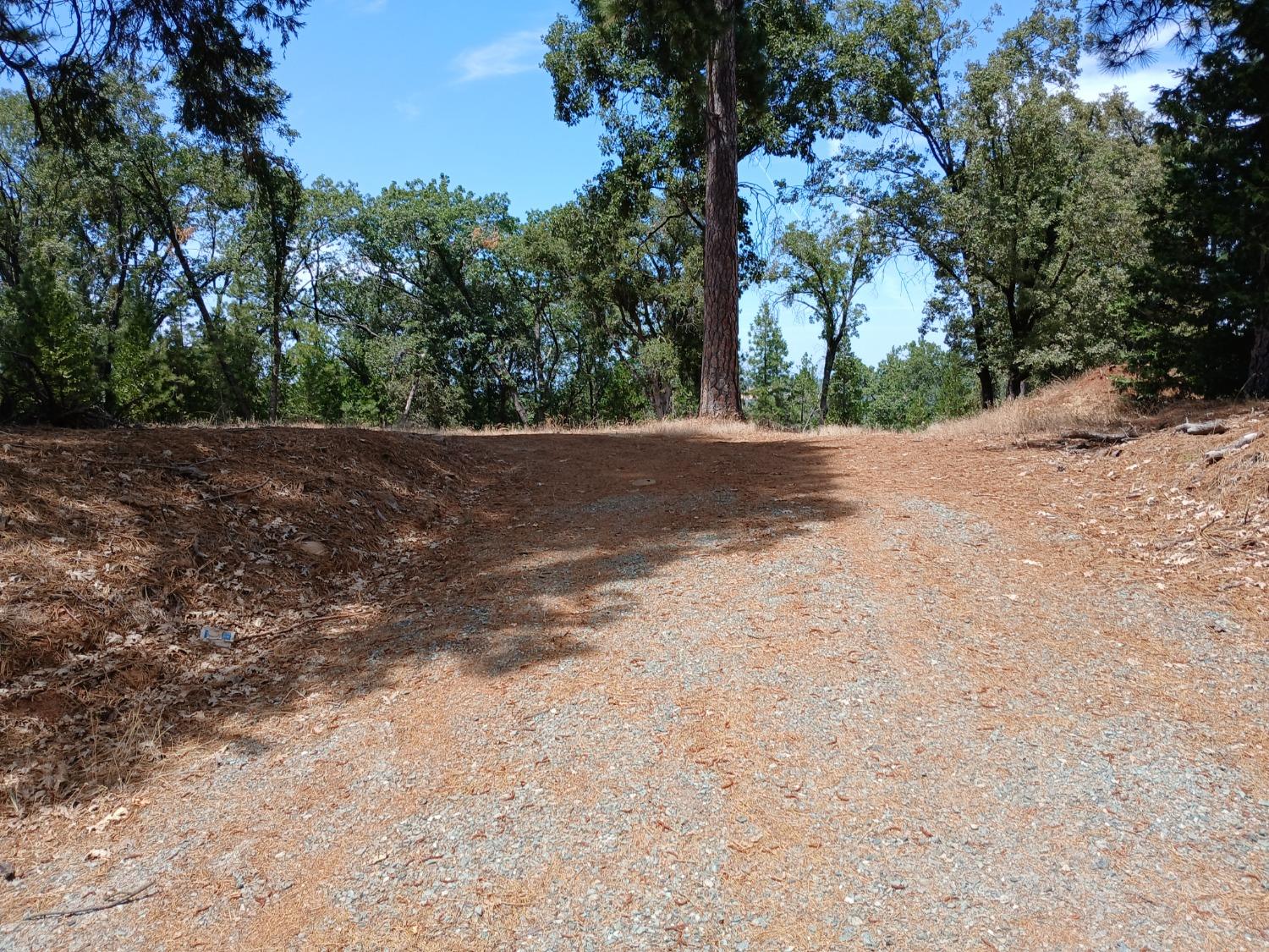 Shake Ridge Road, Volcano, California image 6