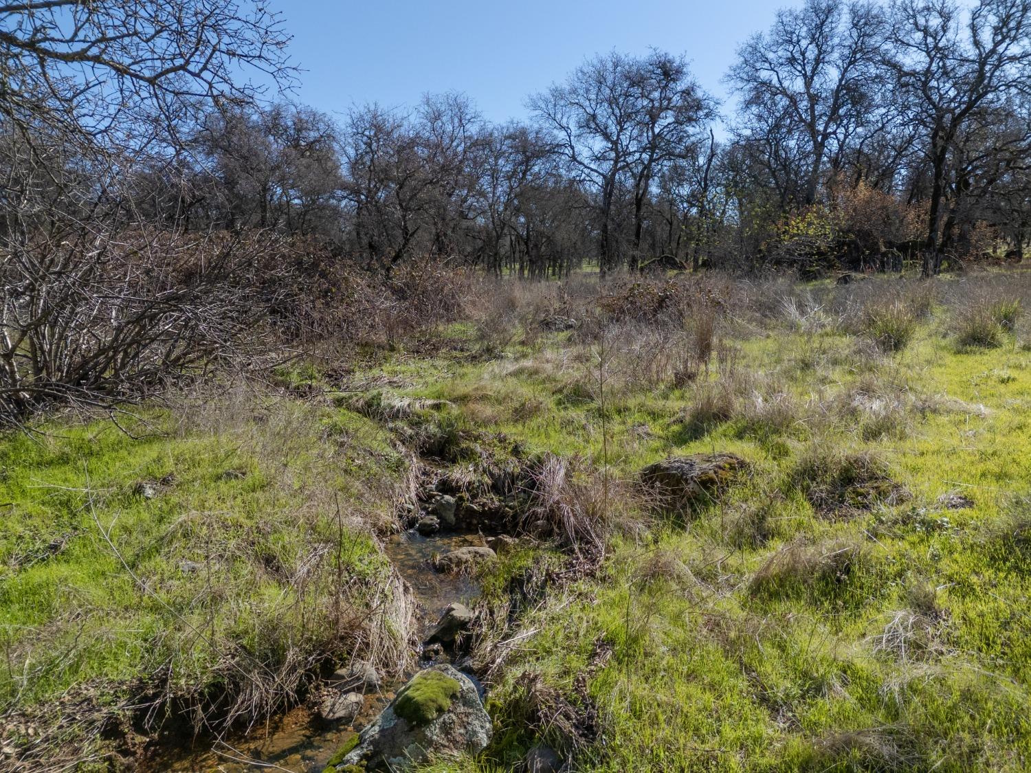 Oak Grove Court, Browns Valley, California image 7