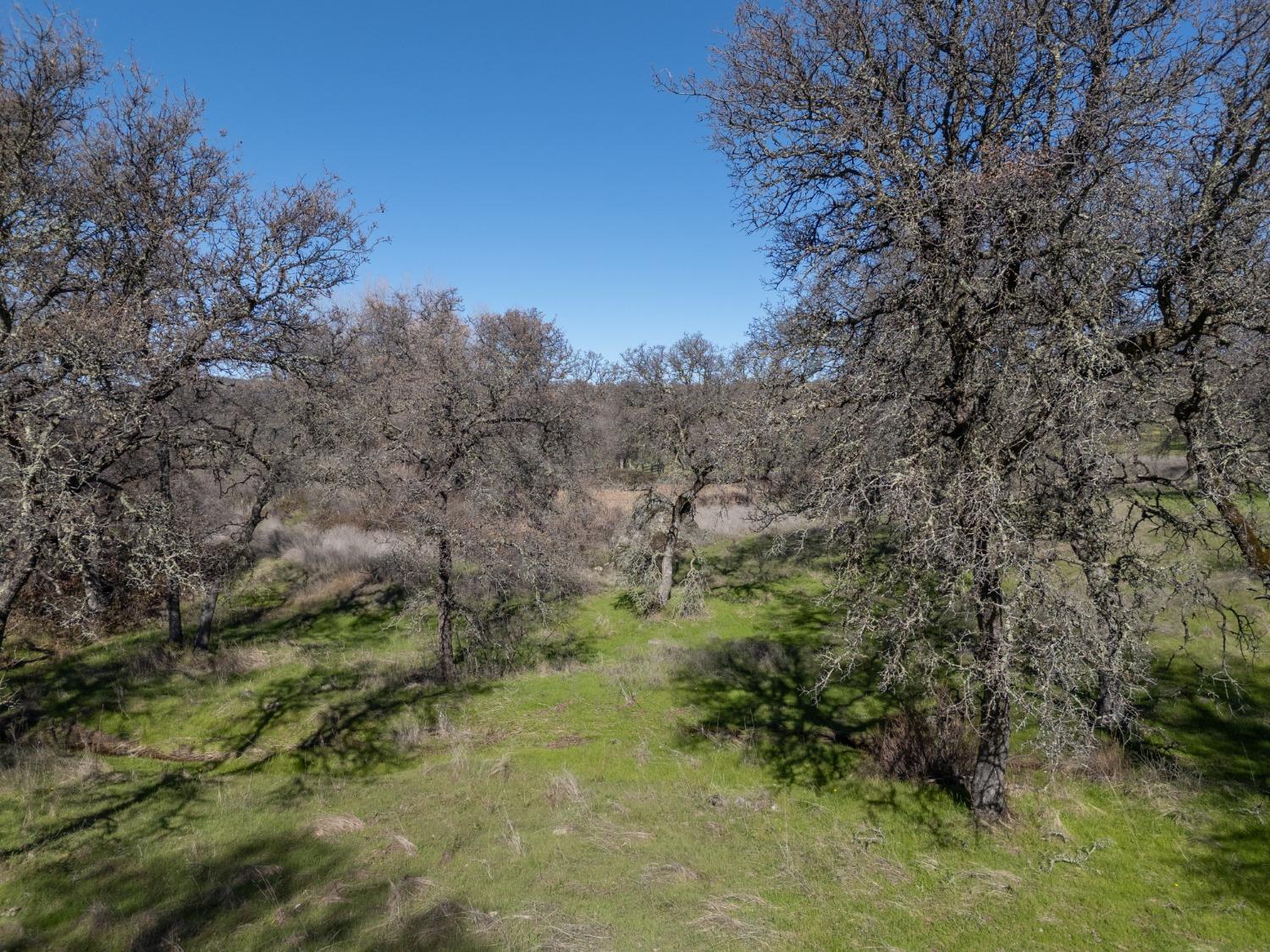 Oak Grove Court, Browns Valley, California image 14