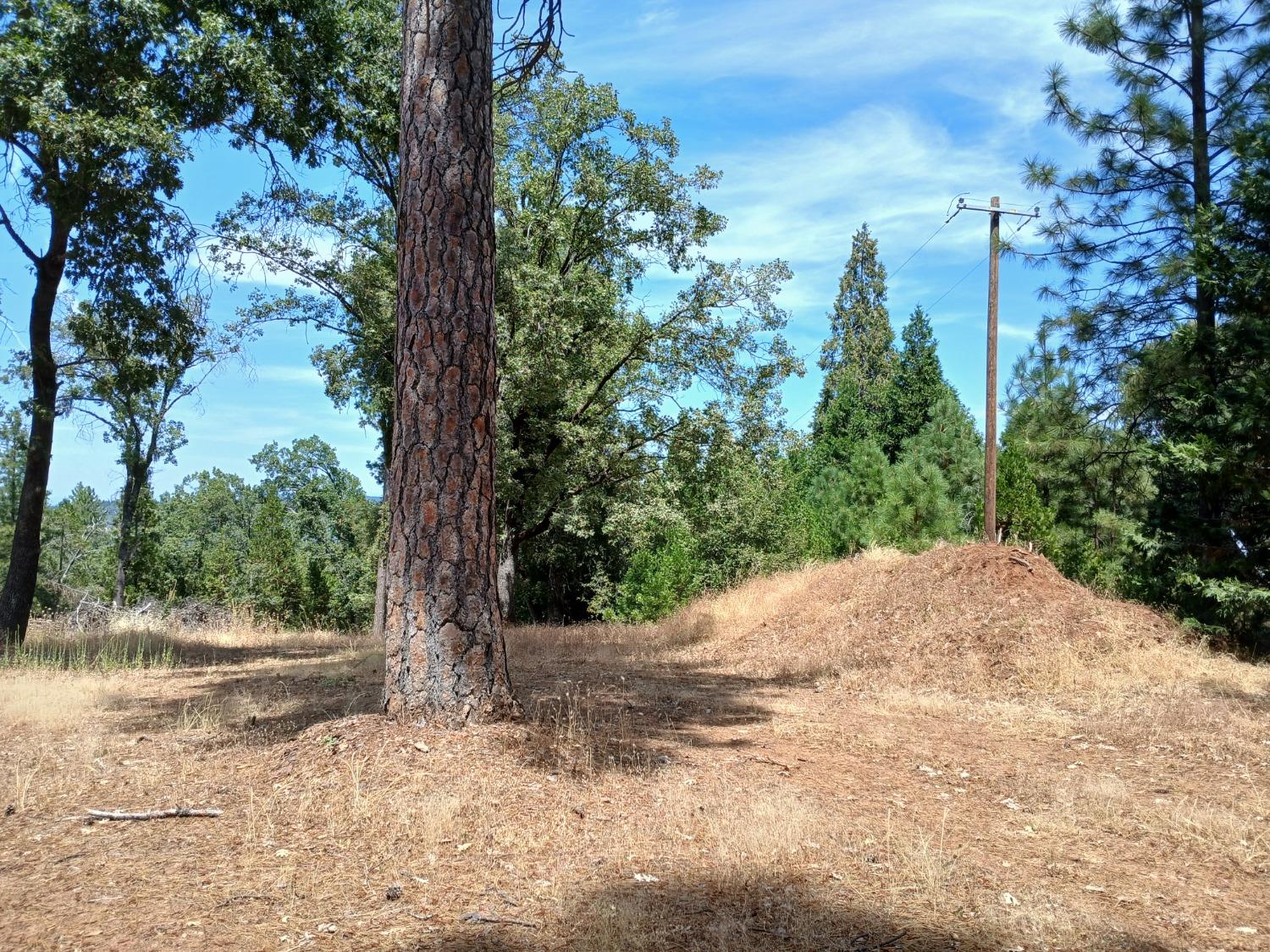 Shake Ridge Road, Volcano, California image 3