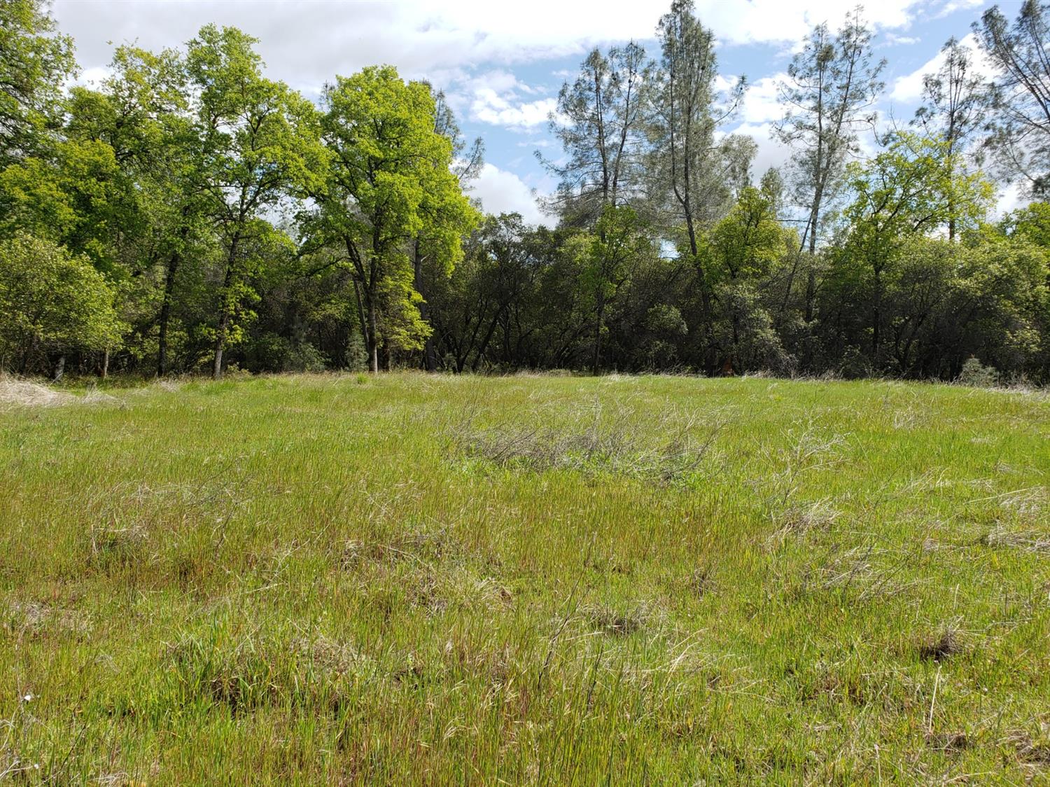 Eagle Nest Way, Oregon House, California image 3