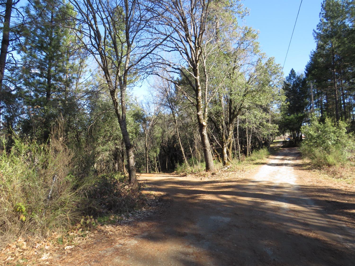 N. Canyon Way / Iowa Hill Rd, Colfax, California image 8