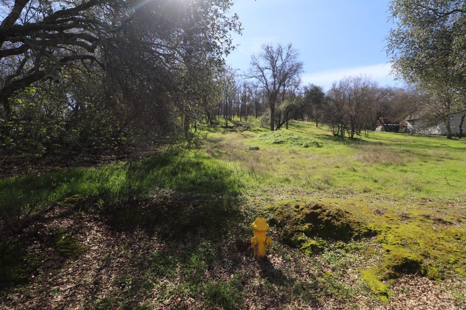 Baldwin Court, Valley Springs, California image 3