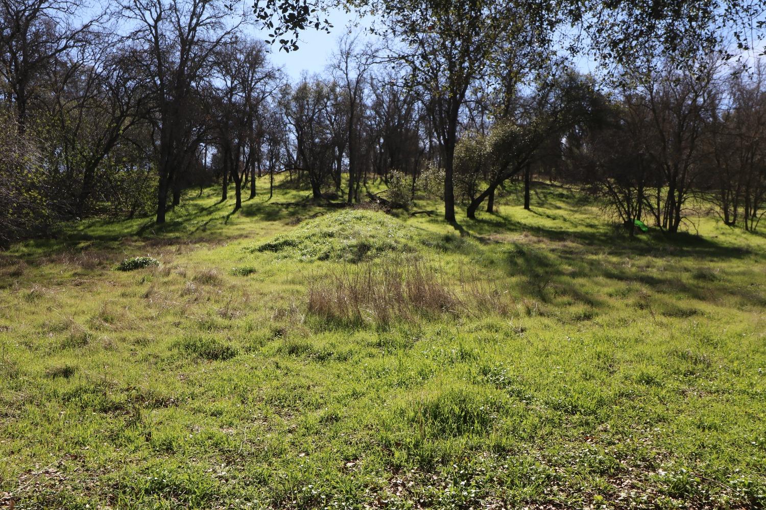 Baldwin Court, Valley Springs, California image 1