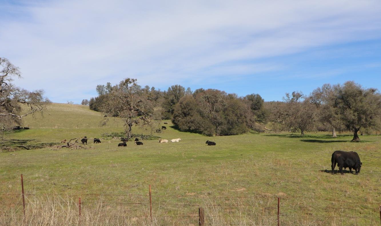 Baldwin Court, Valley Springs, California image 39