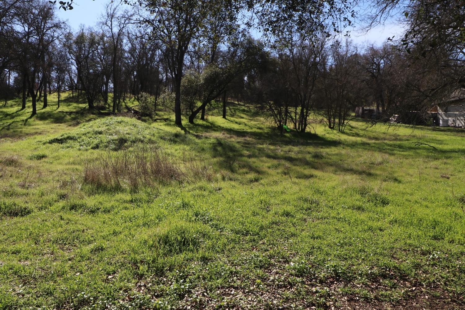 Baldwin Court, Valley Springs, California image 2