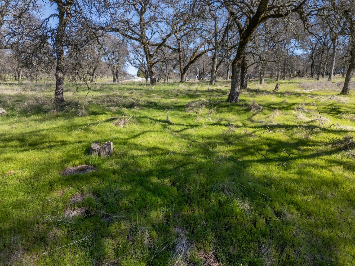 Oak Grove Court, Browns Valley, California image 9