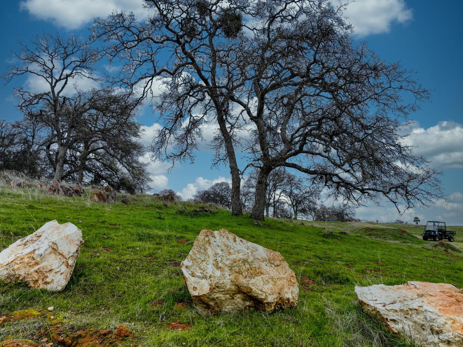 Briarwood Lane, Wheatland, California image 21