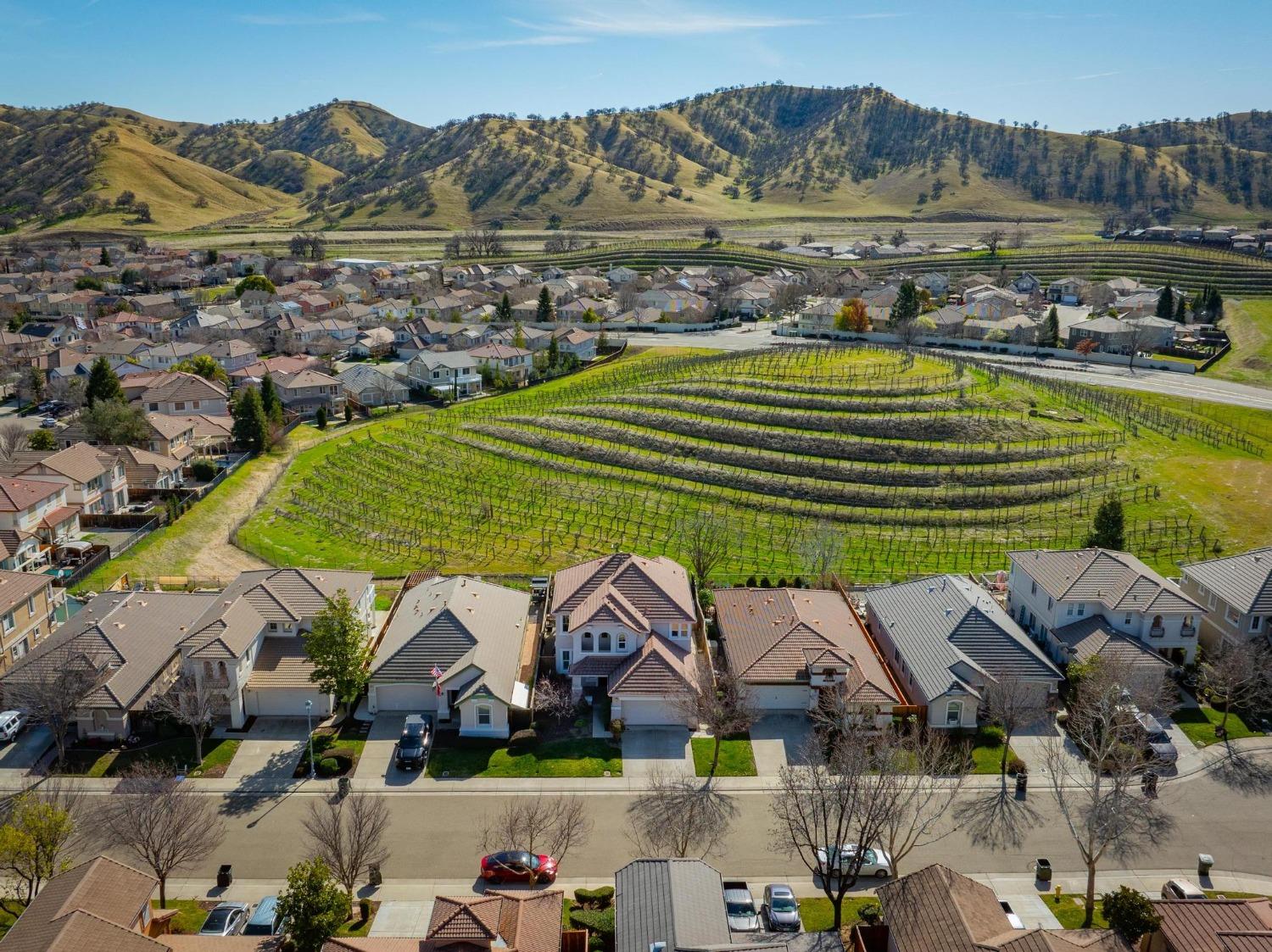 Sarazen, Patterson, California image 5