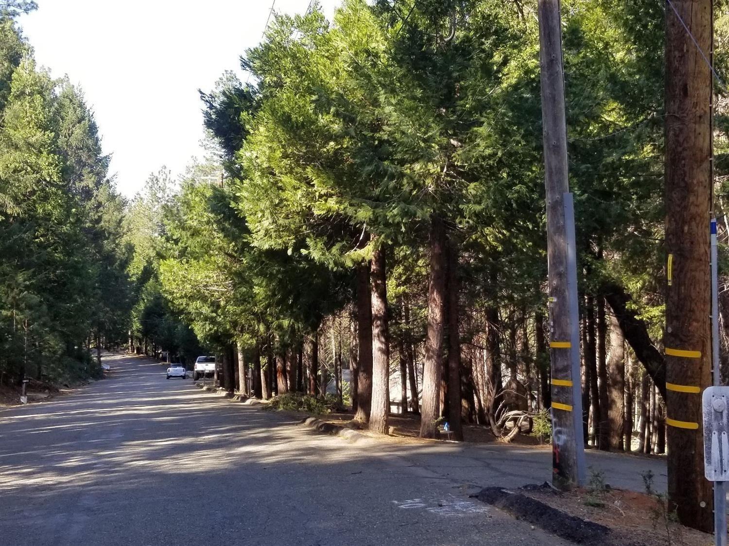 Lupin Lane, Pollock Pines, California image 6