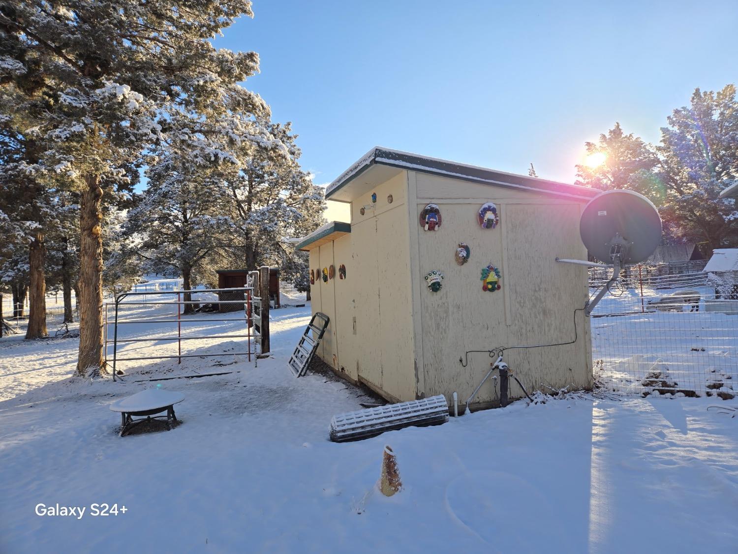 Raccoon Lane, Alturas, California image 3