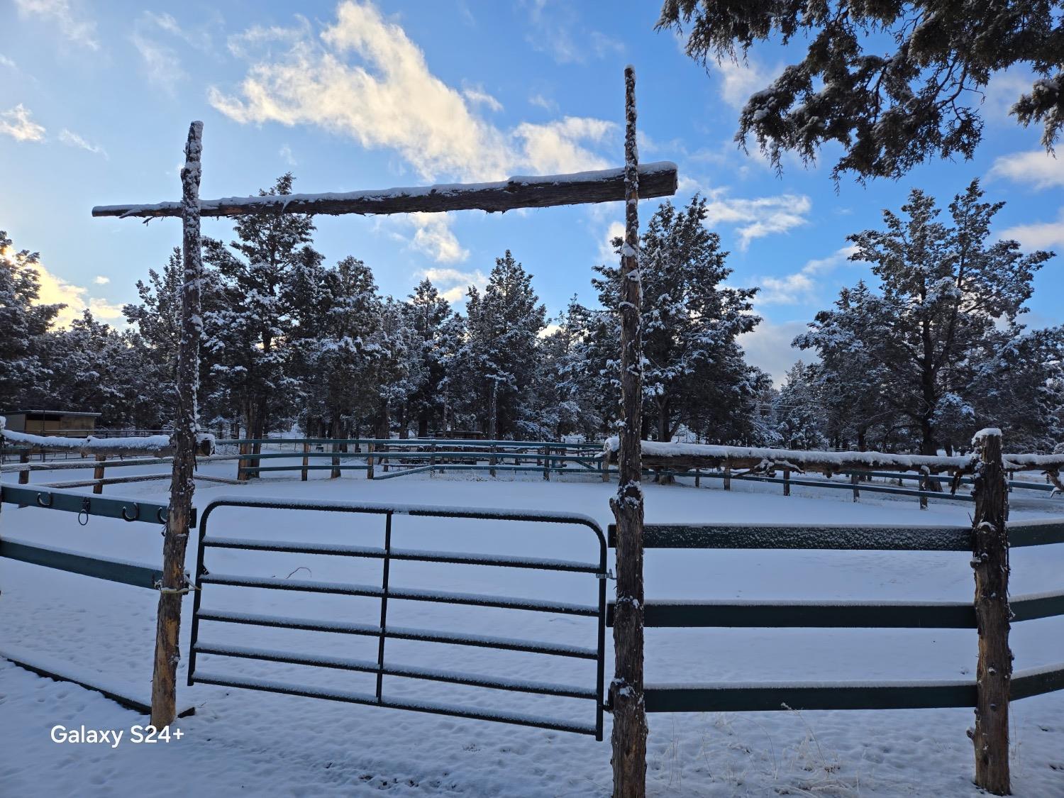 Raccoon Lane, Alturas, California image 7