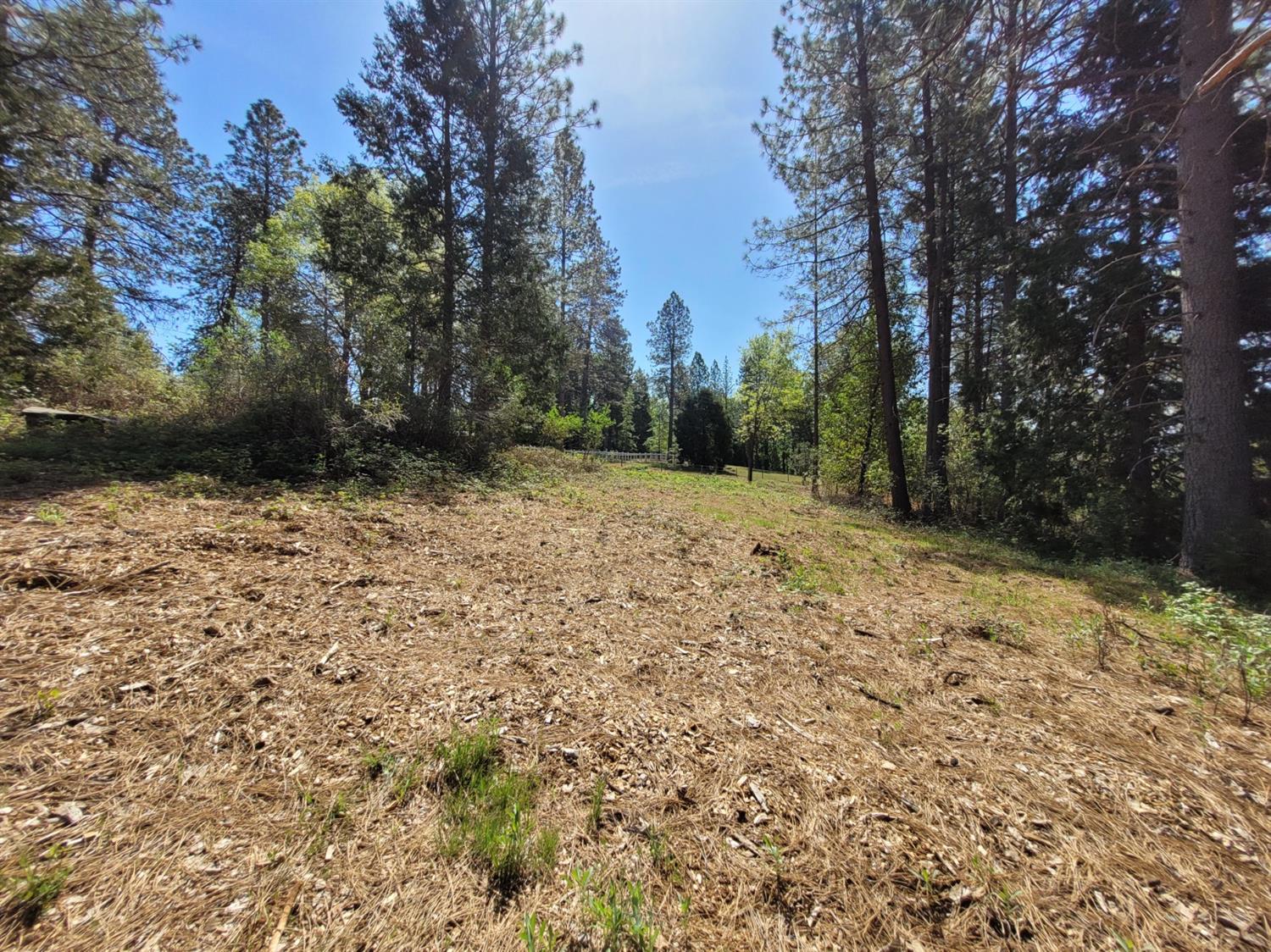 Hopeful Hill Road, Nevada City, California image 4