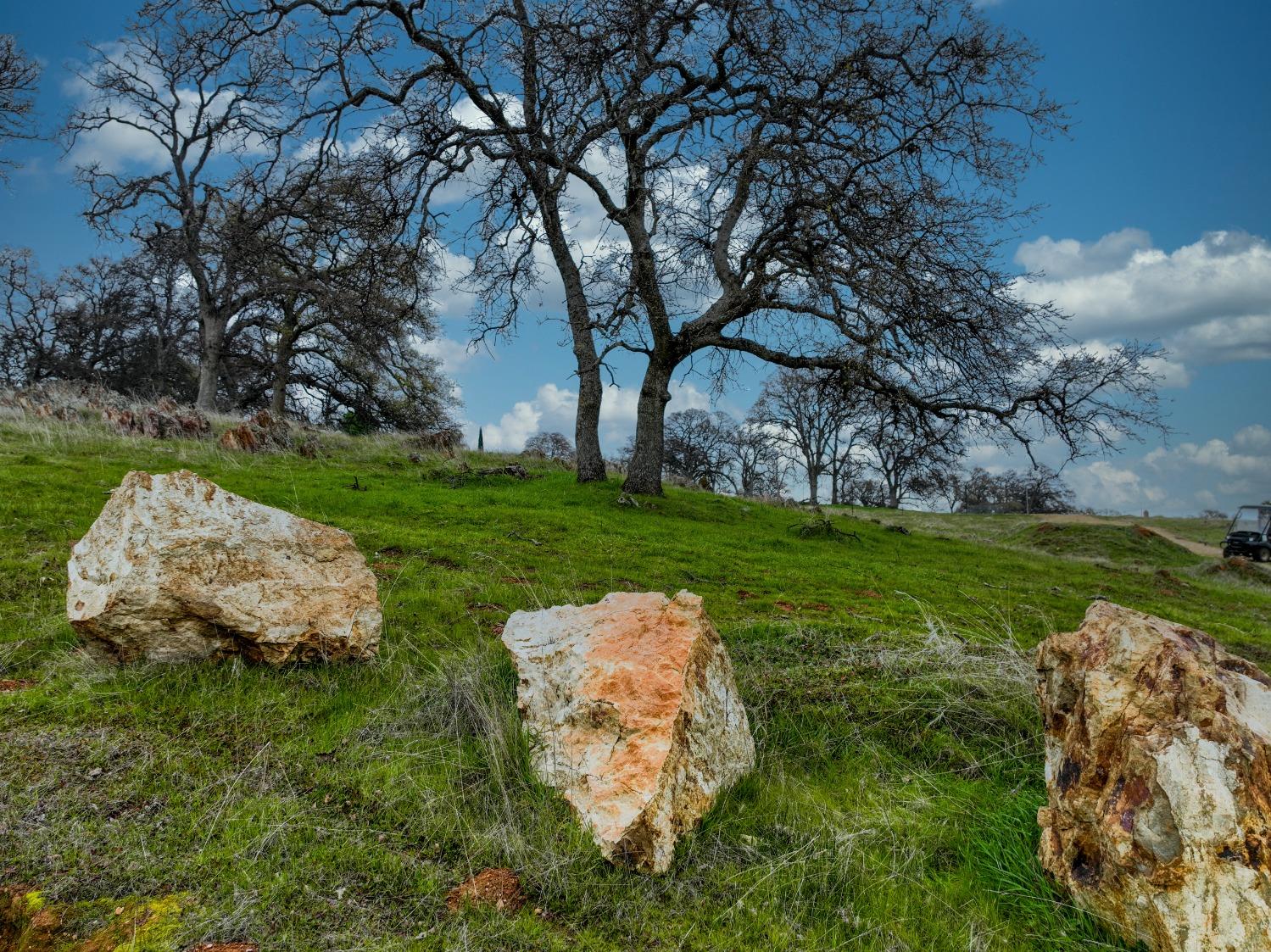 Briarwood Lane, Wheatland, California image 7