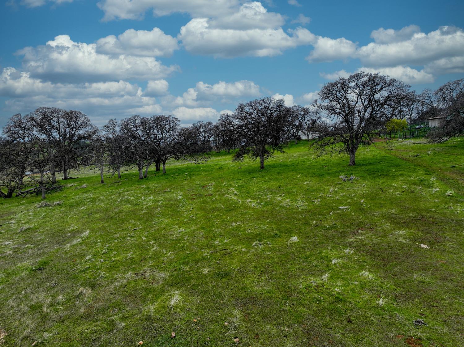 Briarwood Lane, Wheatland, California image 6