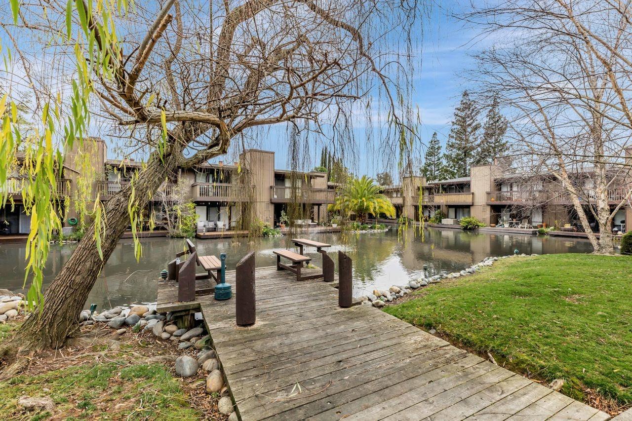Photo #36: 225015584 Listing: Photo #36