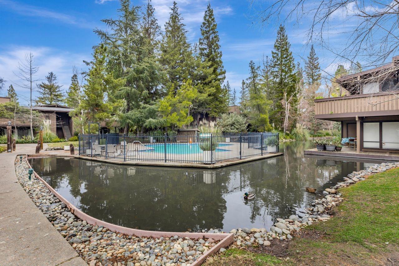 Photo #38: 225015584 Listing: Photo #38
