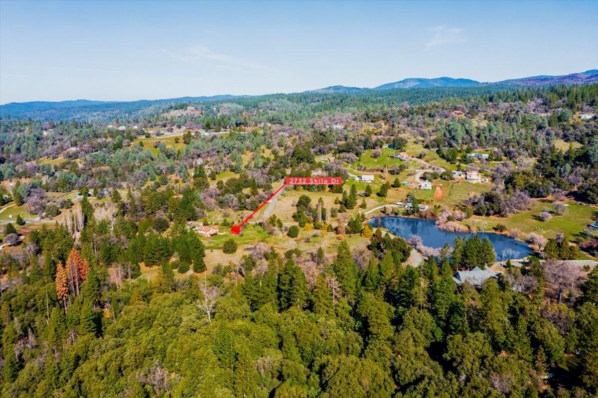 Shilo Drive, Placerville, California image 10