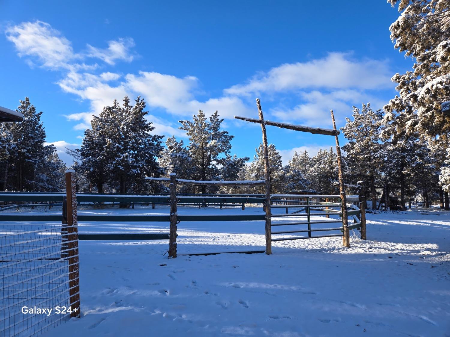 Raccoon Lane, Alturas, California image 12