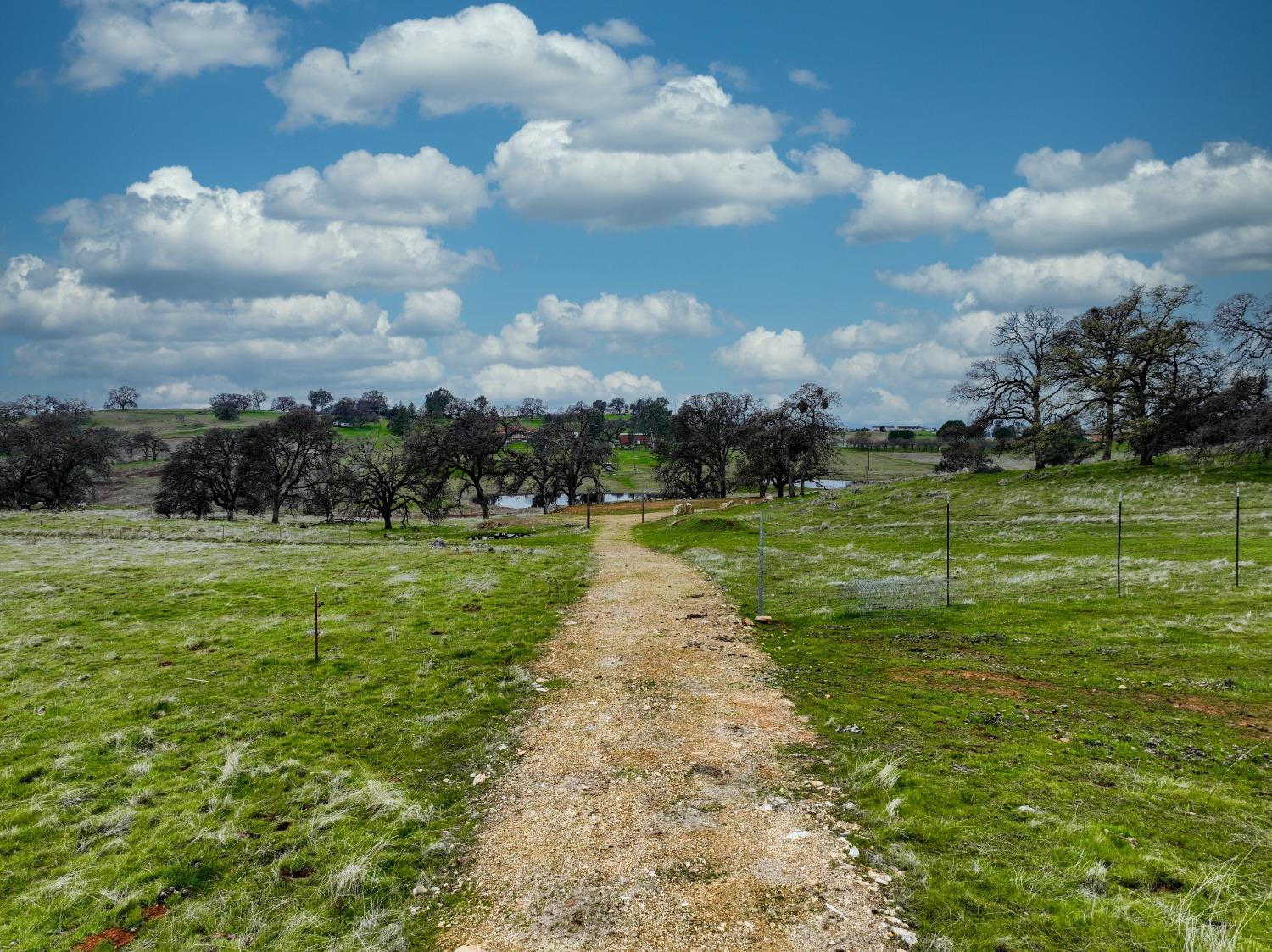 Briarwood Lane, Wheatland, California image 3