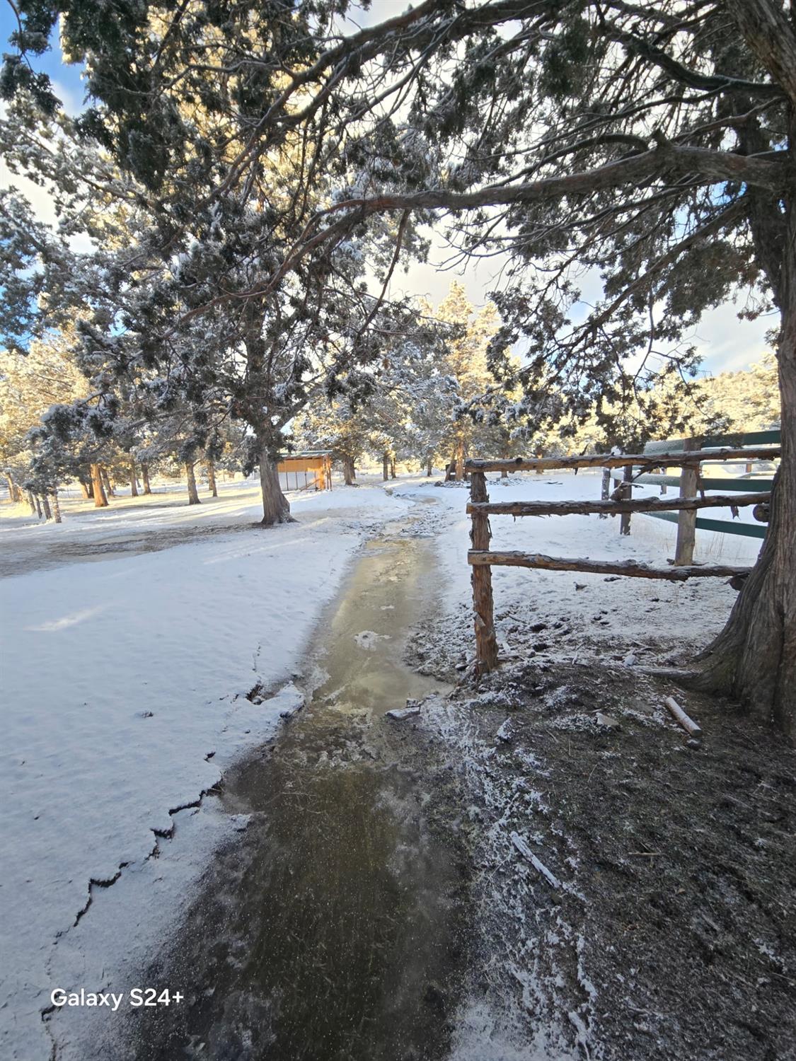 Raccoon Lane, Alturas, California image 6