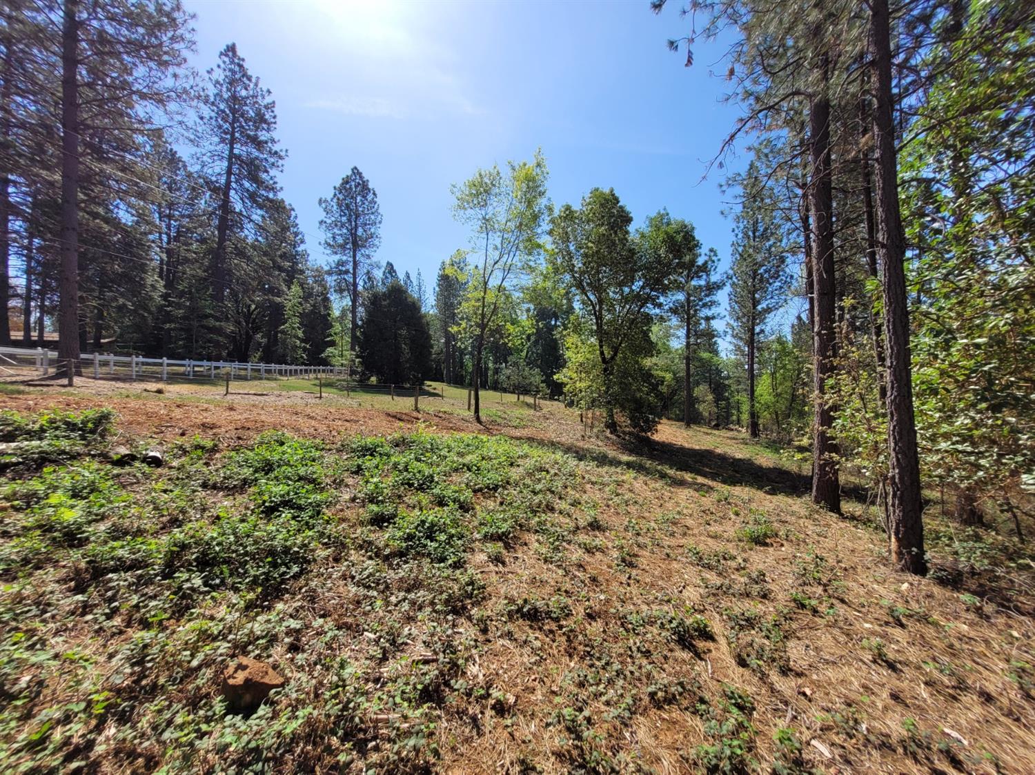 Hopeful Hill Road, Nevada City, California image 1