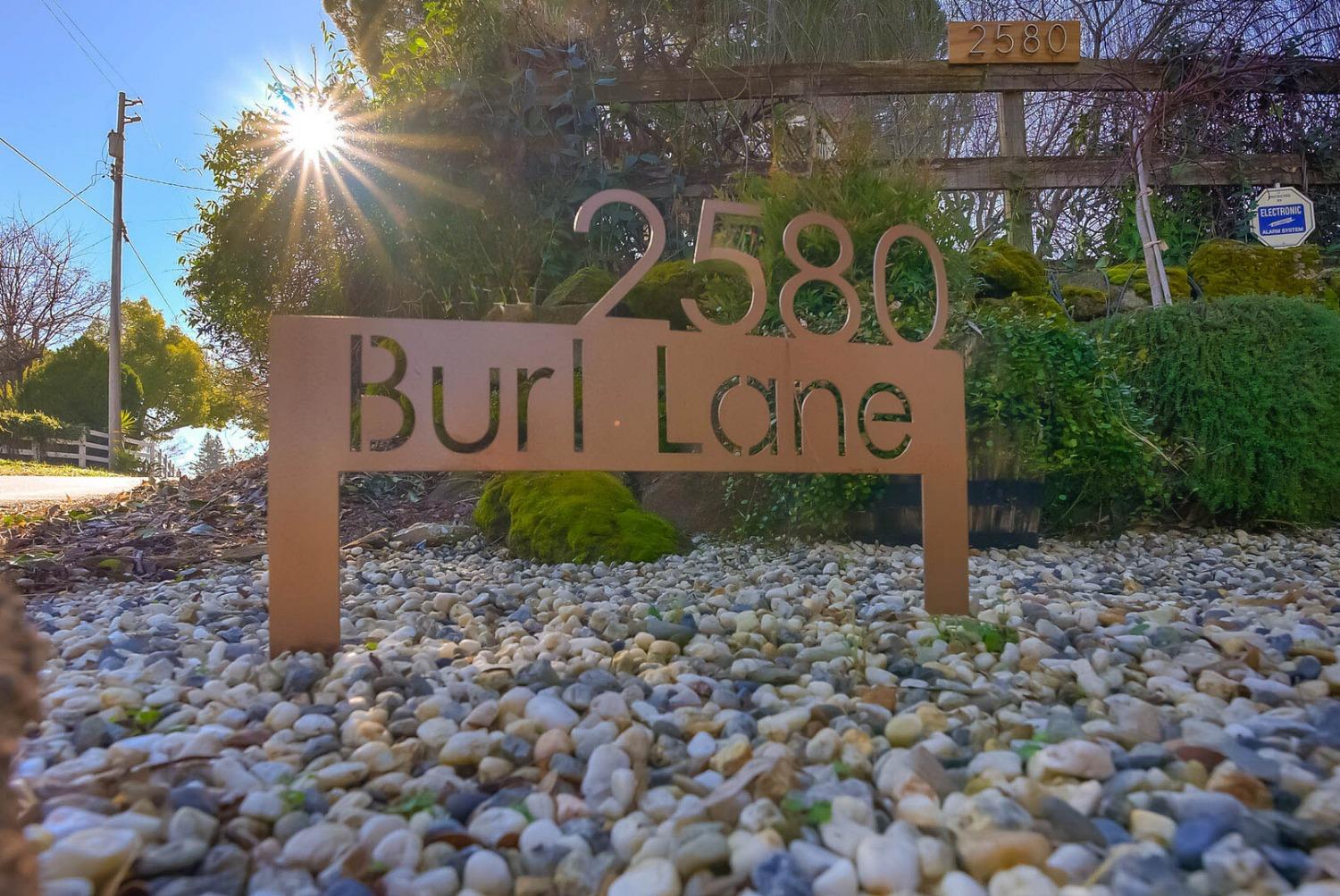 Burl Lane, Newcastle, California image 4