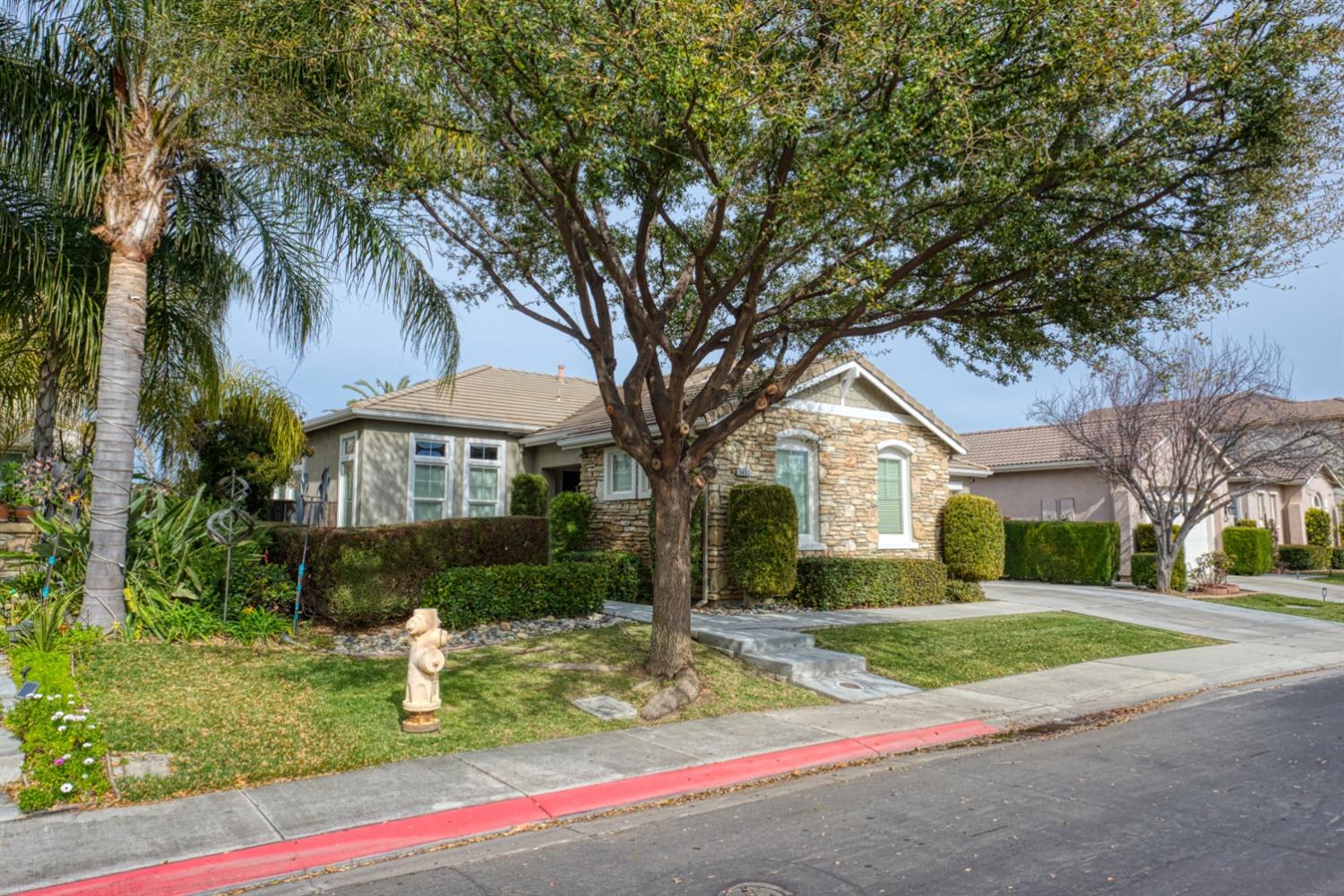 Oasis Lane, Patterson, California image 3