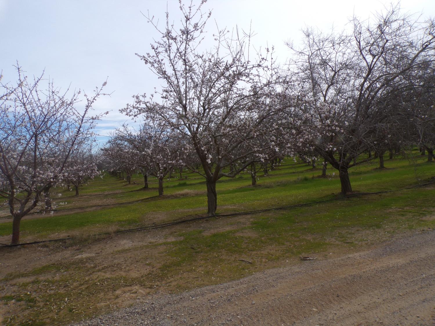 S Boles Road, Arbuckle, California image 3