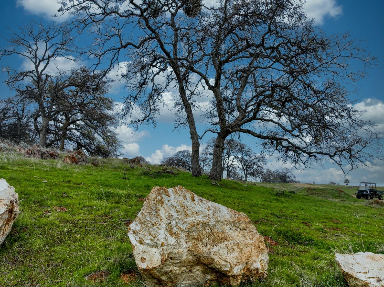 Briarwood Lane, Wheatland, California image 20