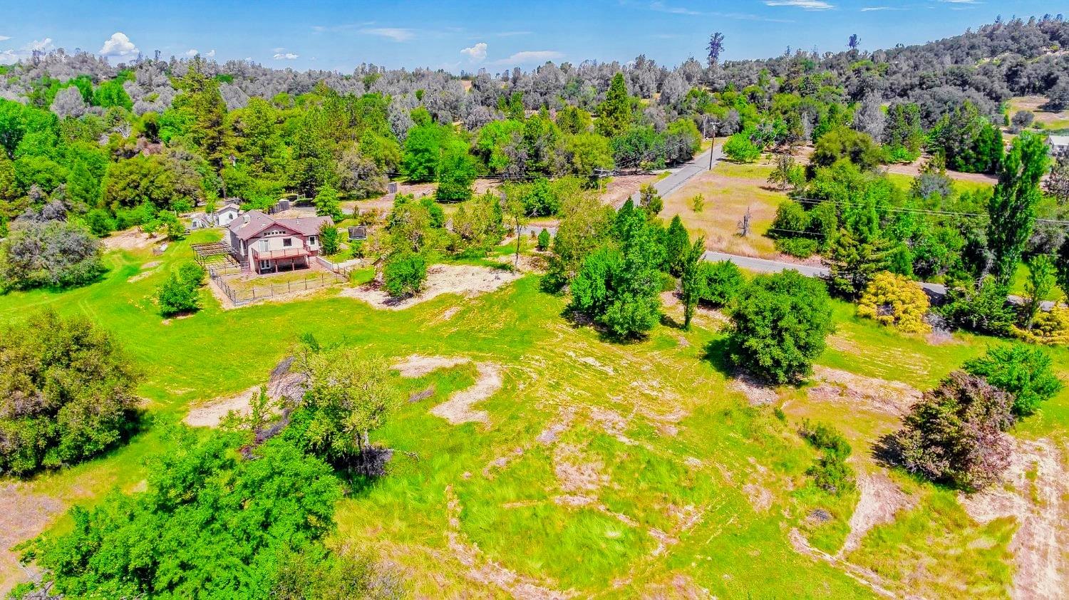 Shilo Drive, Placerville, California image 9