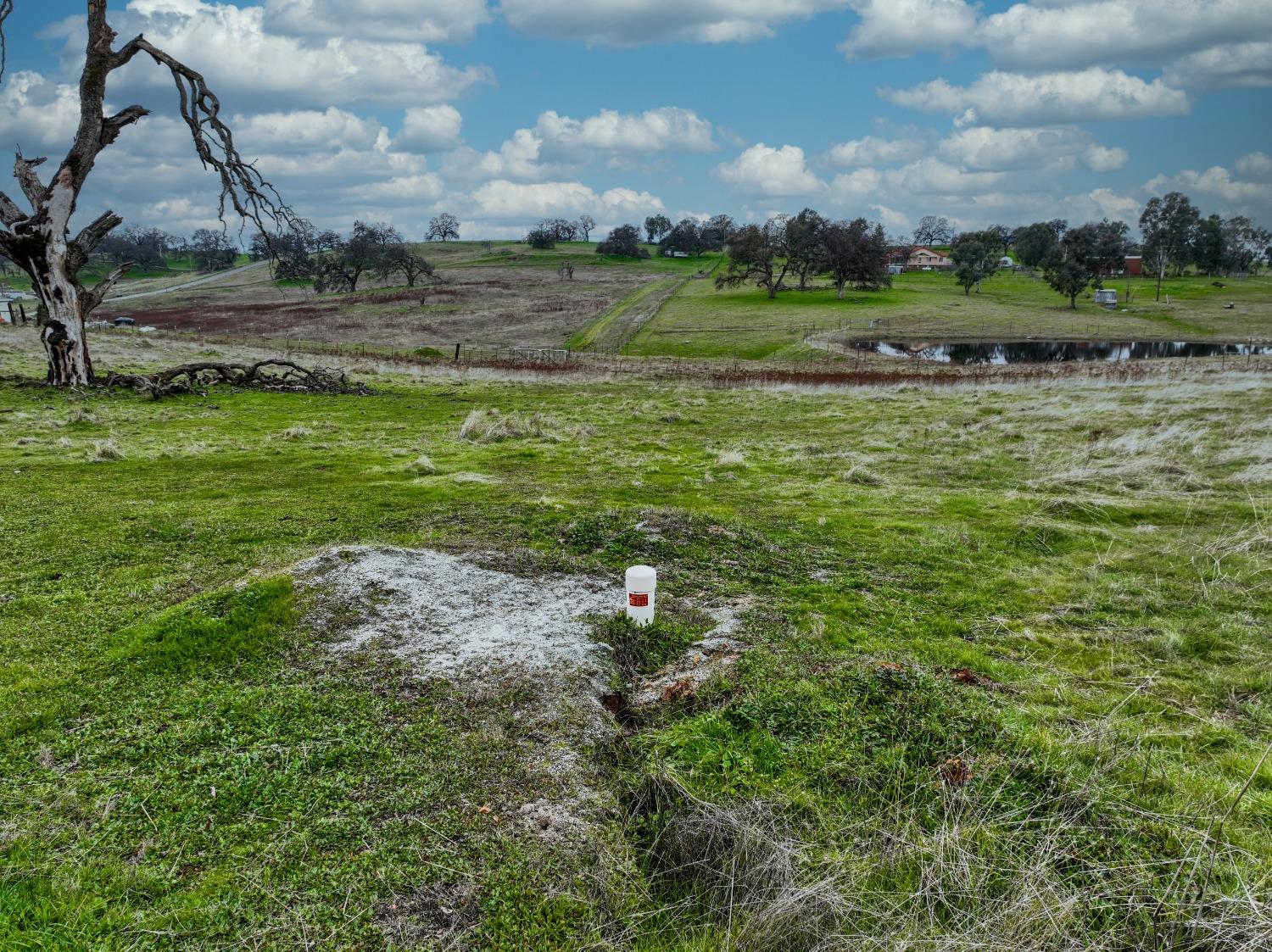 Briarwood Lane, Wheatland, California image 13