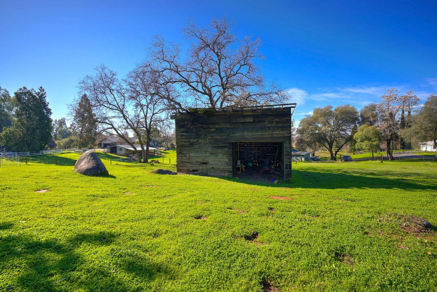 Burl Lane, Newcastle, California image 47