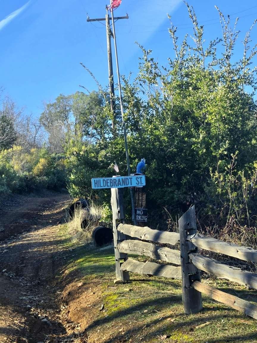 Doster Road, Mountain Ranch, California image 19