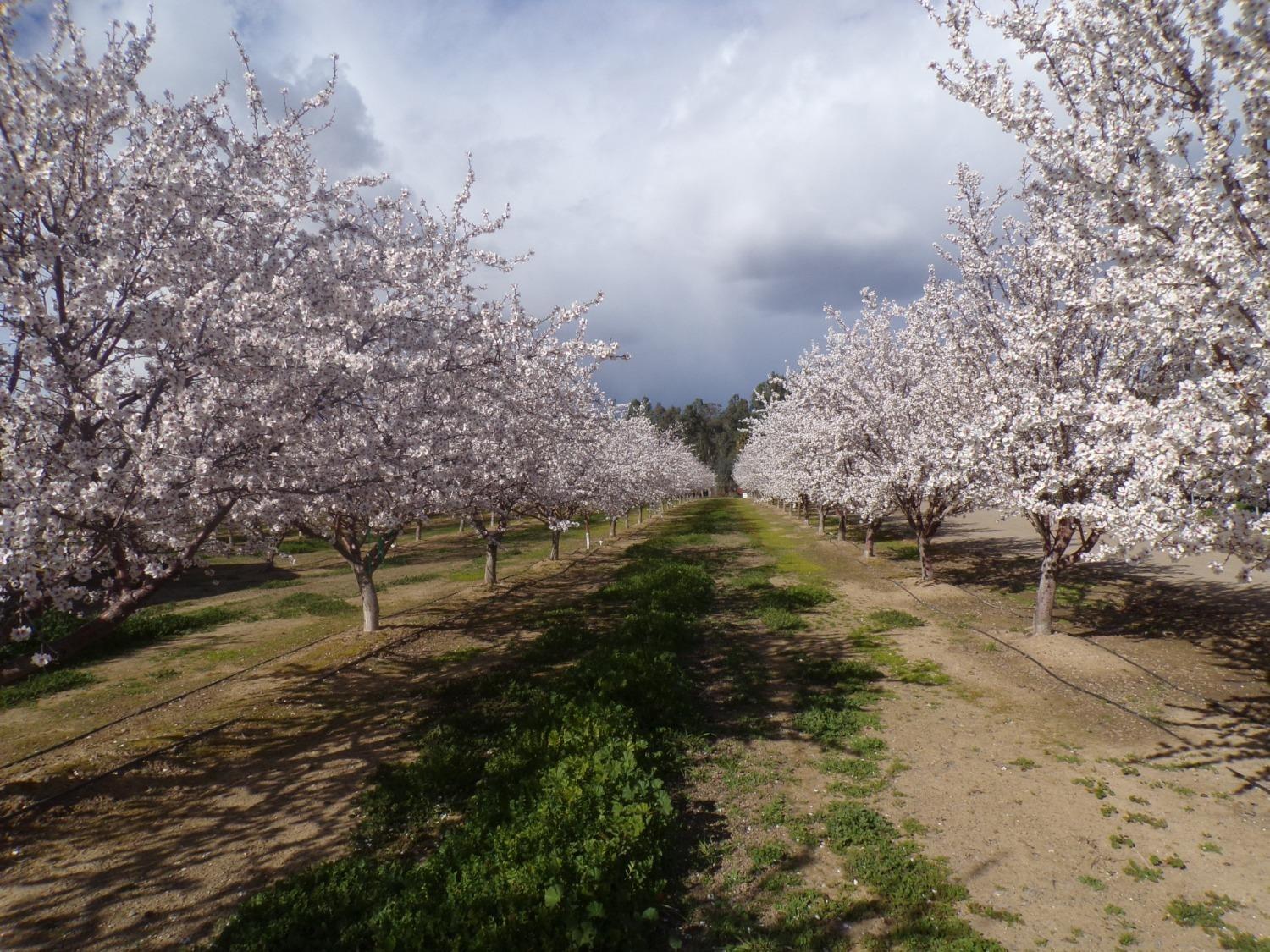 S Boles Road, Arbuckle, California image 1