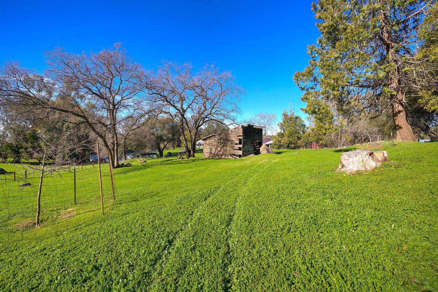 Burl Lane, Newcastle, California image 39