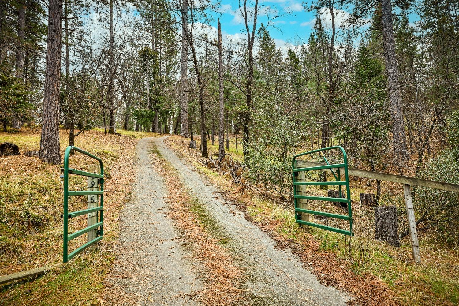 Blue Mountain Road, Wilseyville, California image 48