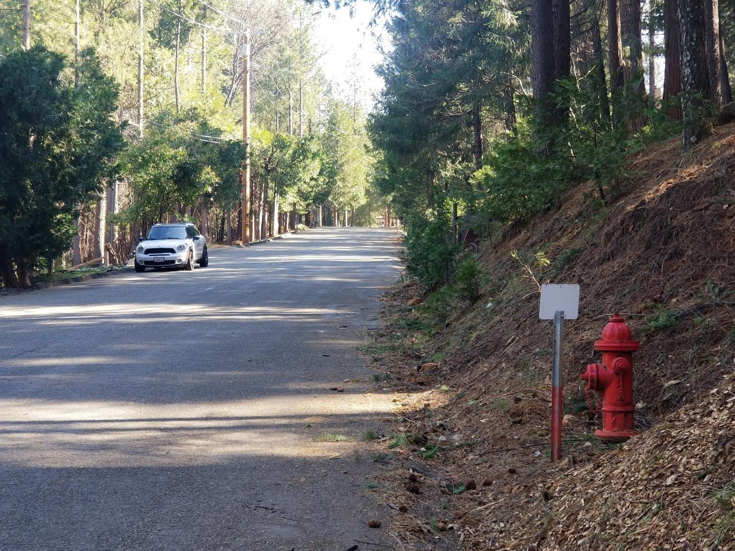 Lupin Lane, Pollock Pines, California image 4