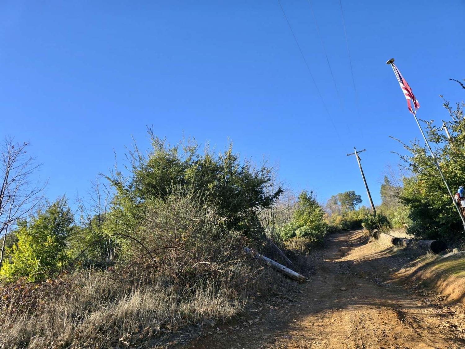 Doster Road, Mountain Ranch, California image 16