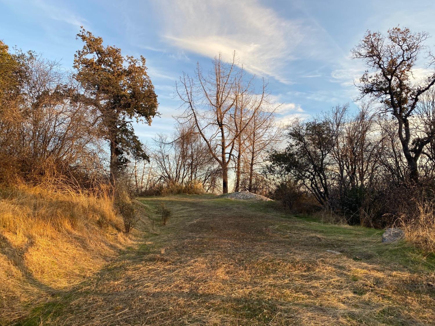 Troost Trail, North San Juan, California image 5