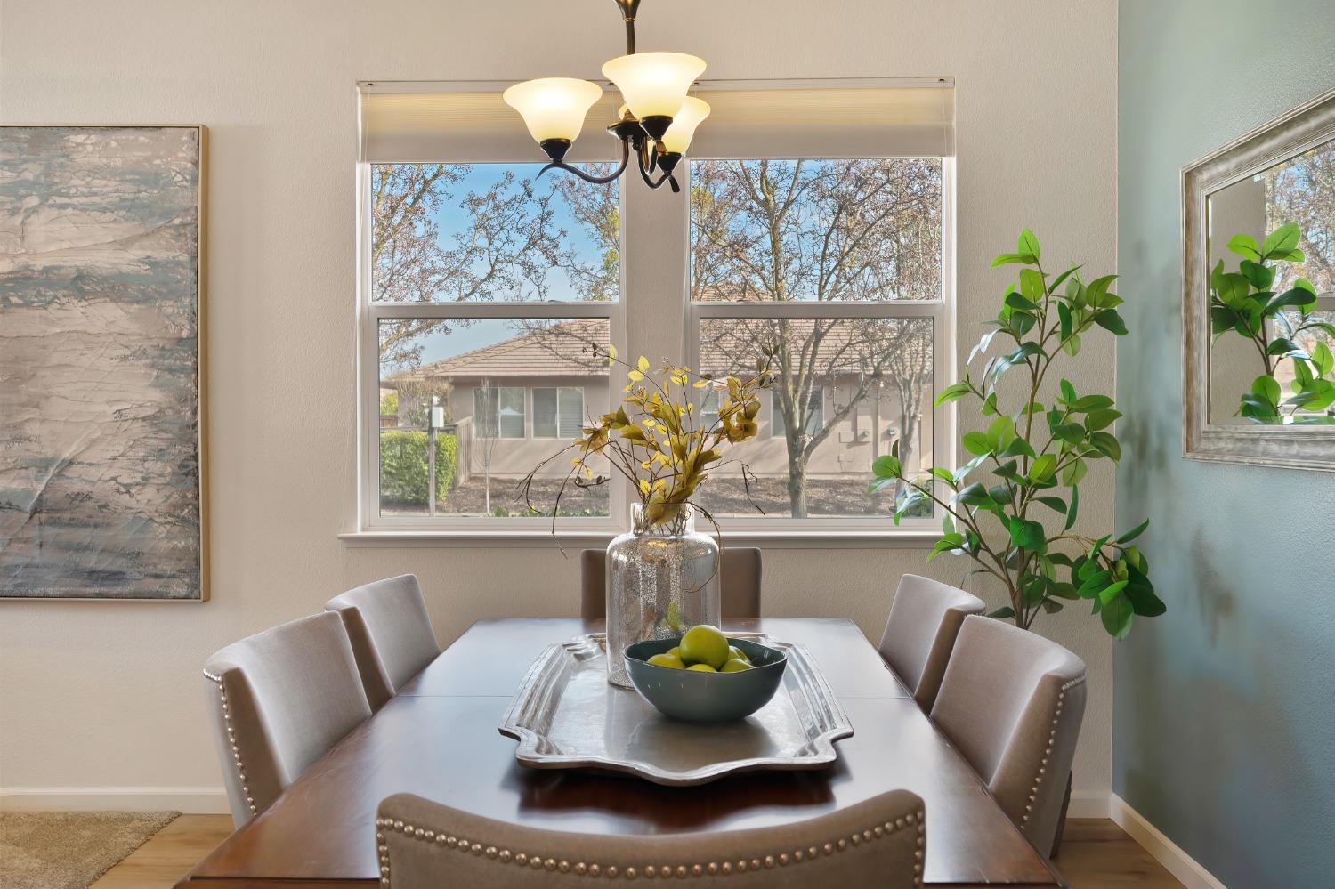 N Mill Valley Circle, Sacramento, California image 13